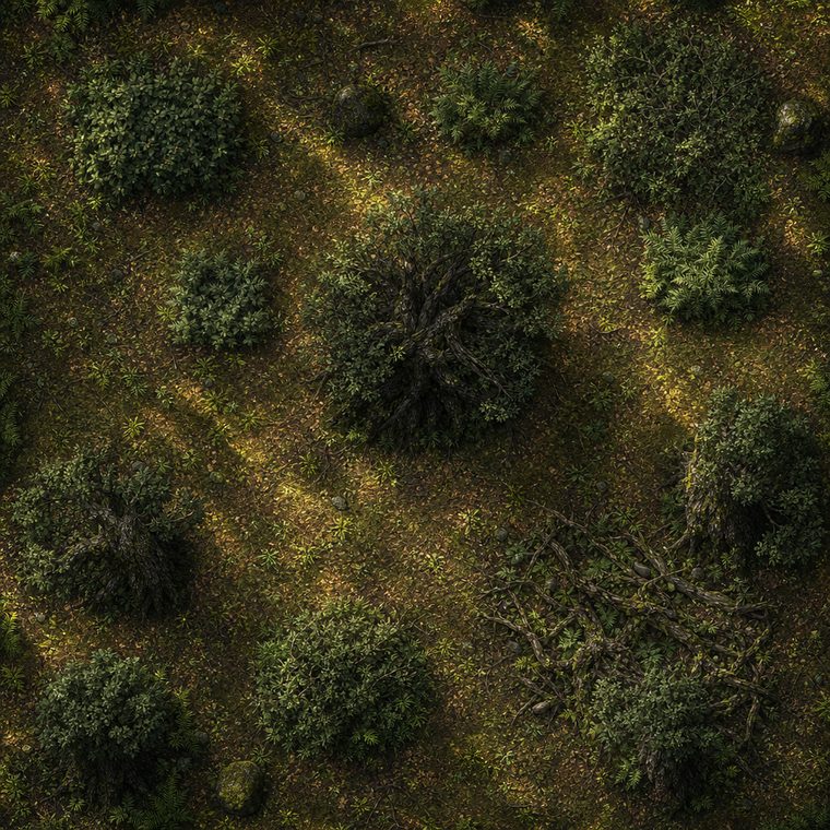 Battle map of a dense forest grove seen from above: mossy
                  ground, scattered boulders and low twisted trees.